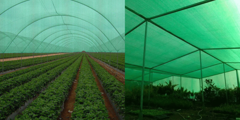 Monofilament Shade Net Supplier in Chennai